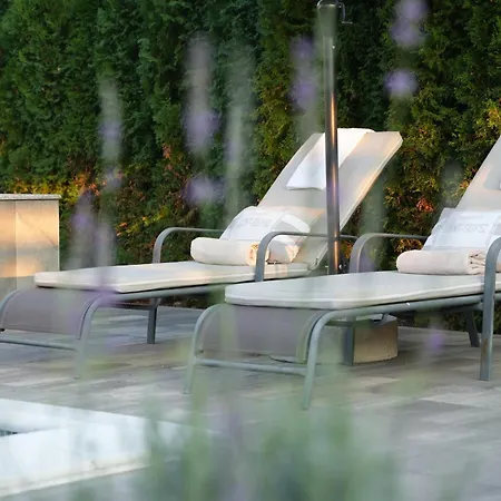 Luxia Private Estate Sauna & Pool X Jacuzzi With Fireplace Outdoor Lounge Villa