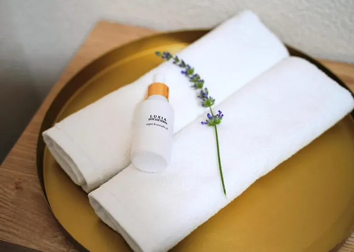 别墅 Luxia Private Estate Sauna & Pool X Jacuzzi With Fireplace Outdoor Lounge