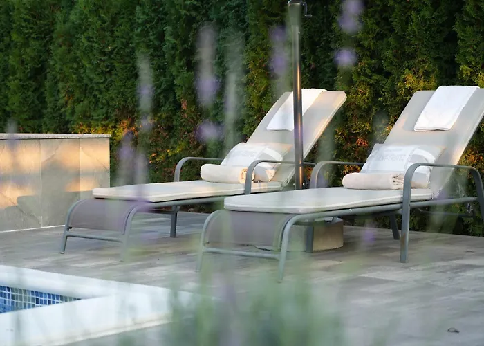 Luxia Private Estate Sauna & Pool X Jacuzzi With Fireplace Outdoor Lounge 别墅